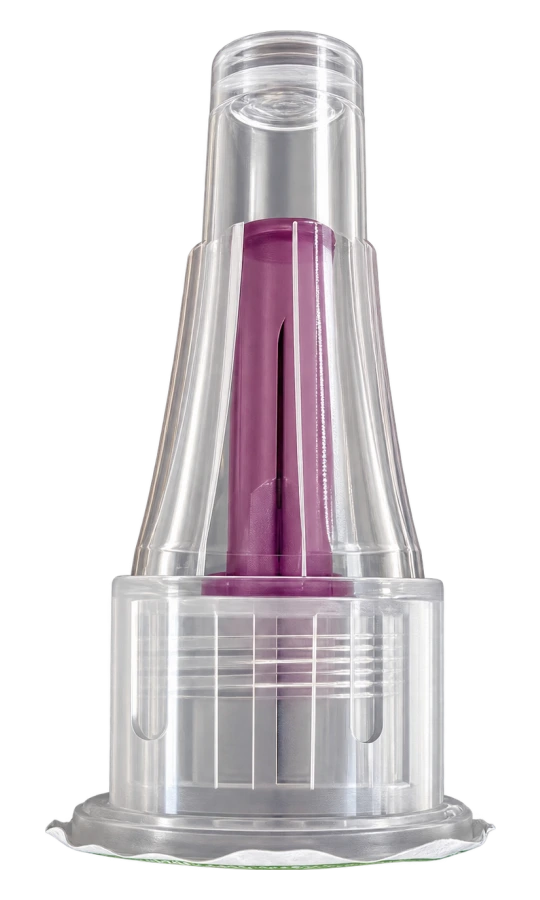 Agujas 31G 6 mm — caja de 100